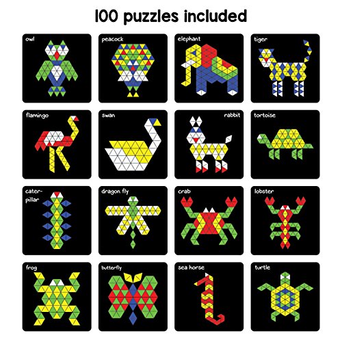 Preview image 5 Product Image for - BC9046992781625 for Colorful Magnetic Puzzles: 250 Magnets and 100 Puzzles